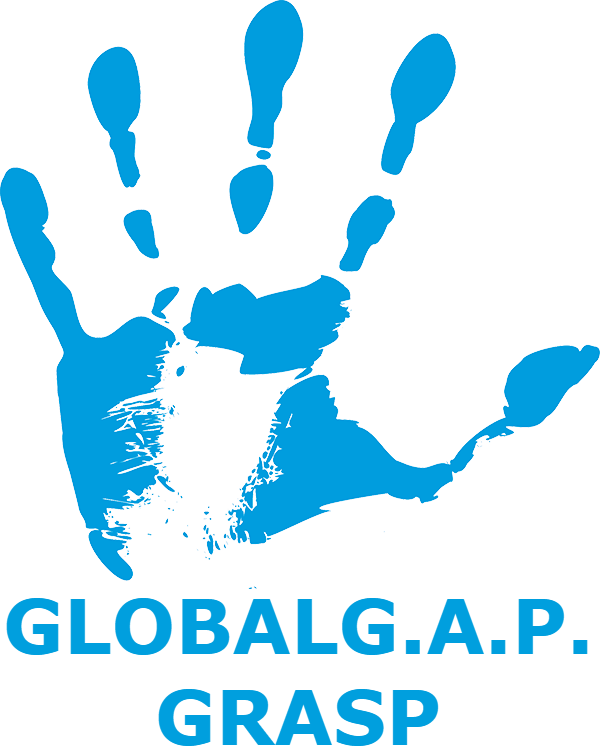 Global Grasp